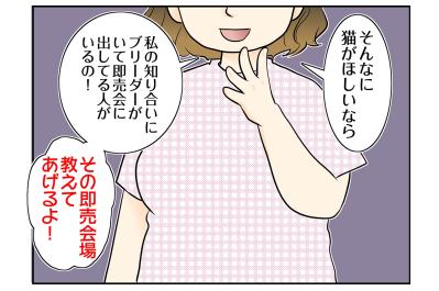【マンガ・老猫日誌＃101】「厄介な猫」その言葉に固まった日〜思い出の老猫日誌・桃姐と小論