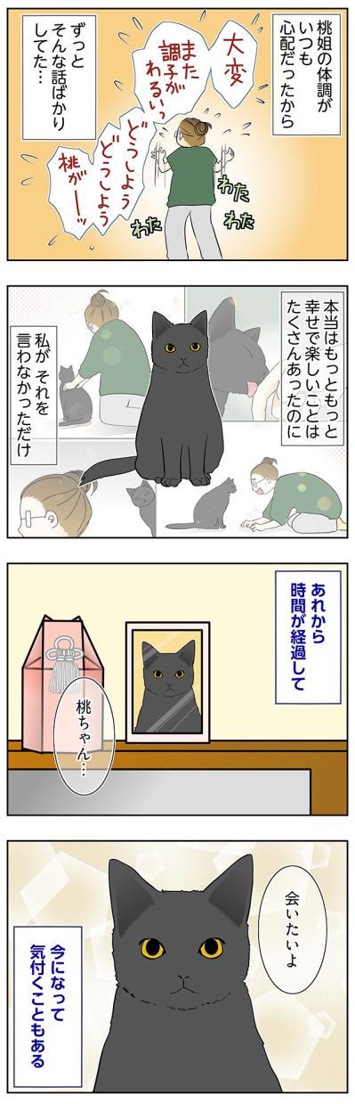 【マンガ・老猫日誌＃103】本当はもっと幸せな時間がたくさんあったのに〜思い出の老猫日誌・桃姐と小論（サムネイル画像2）