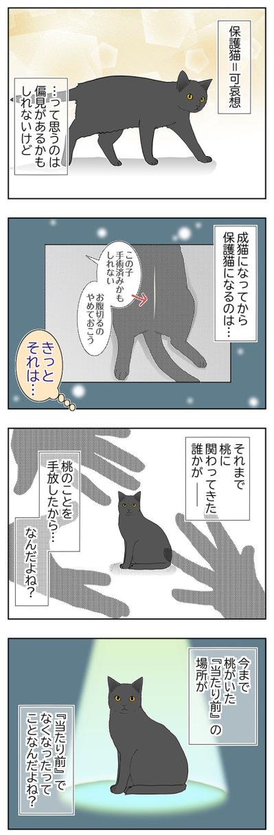 【マンガ・老猫日誌＃119】保護猫＝可哀想、それは偏見かもしれないけど〜思い出の老猫日誌・桃姐と小論（サムネイル画像2）