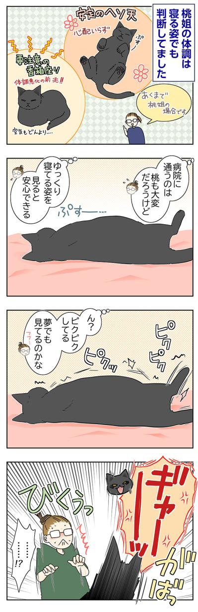 【マンガ・老猫日誌＃115】香箱座りは要注意…桃姐の体調サイン〜思い出の老猫日誌・桃姐と小論（サムネイル画像2）