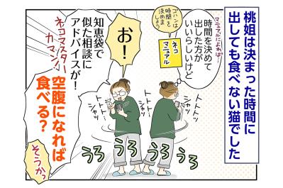 【マンガ・老猫日誌＃107】空腹になれば食べる？試行錯誤の食事作戦〜思い出の老猫日誌・桃姐と小論