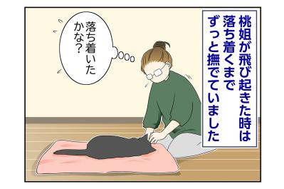 【マンガ・老猫日誌＃118】悪い夢でもみちゃってるのかな…桃姐を思って〜思い出の老猫日誌・桃姐と小論