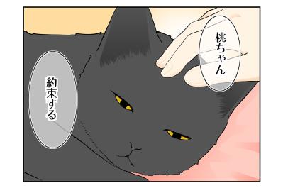 【マンガ・老猫日誌＃121】だから安心して…桃姐にかけた言葉〜思い出の老猫日誌・桃姐と小論