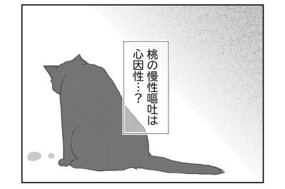 【マンガ・老猫日誌＃113】私が猫のことをわかってないから…と悩んだ日〜思い出の老猫日誌・桃姐と小論
