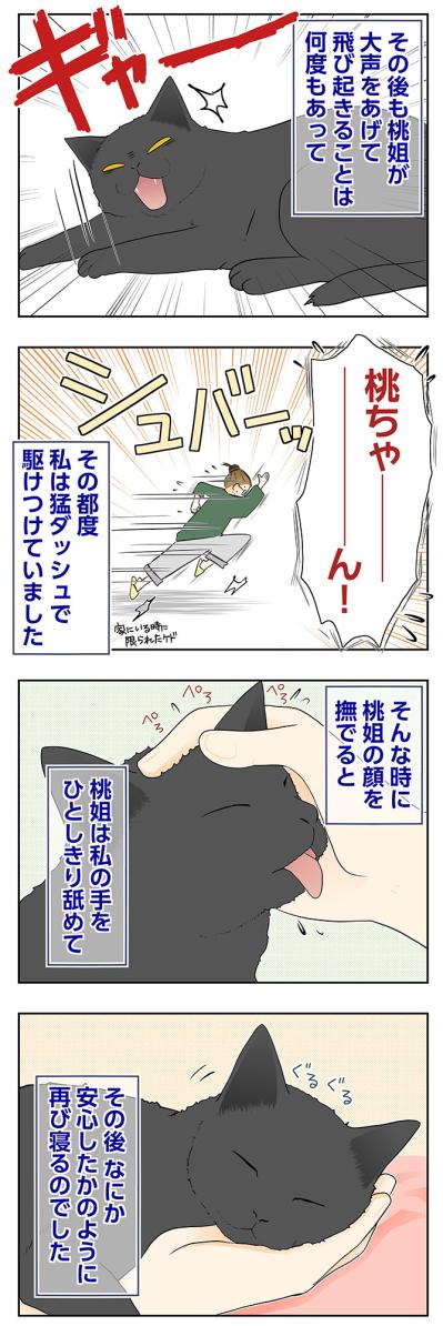 【マンガ・老猫日誌＃117】何度も飛び起きる桃姐に猛ダッシュで駆けつけて〜思い出の老猫日誌・桃姐と小論（サムネイル画像2）