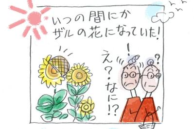 「しばらく見ないと思ったら…」ひまわりとザルの夏の事件簿｜本田葉子さんのやっちまった話（サムネイル画像）