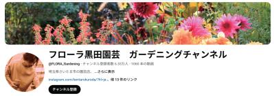 スマホで涼しく園芸上達！人気園芸店公式YouTubeチャンネルで学ぶ寄せ植えと旬の花苗情報（サムネイル画像5）