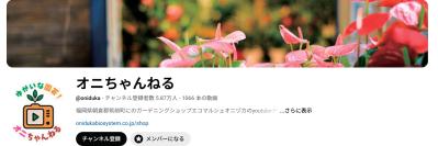 スマホで涼しく園芸上達！人気園芸店公式YouTubeチャンネルで学ぶ寄せ植えと旬の花苗情報（サムネイル画像2）