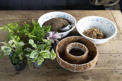 暑い季節も葉がきれいに楽しめる【観葉植物の寄せ植え】リース型も意外と簡単！（サムネイル画像7）