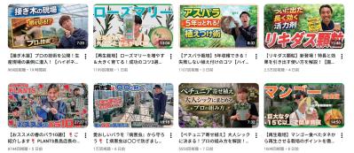 暑い夏の園芸は室内で賢く！写真で病害虫がわかるAI診断やLINE相談など便利な5サービス（サムネイル画像19）