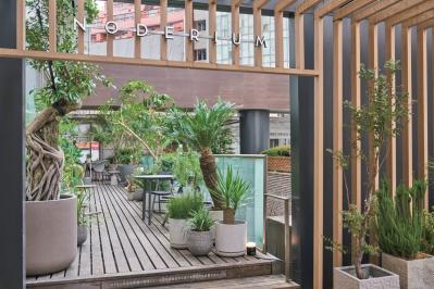 観葉植物、何から始める？ 部屋のトーンに合わせて選ぶ【インテリアグリーン】入門ガイド（サムネイル画像12）