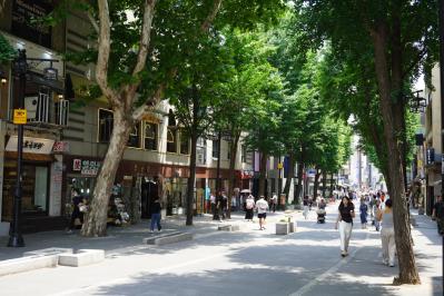 仁寺洞の路地裏で見つけた大人のティーラウンジへ。お茶時間と街歩きを楽しむソウル旅（サムネイル画像8）