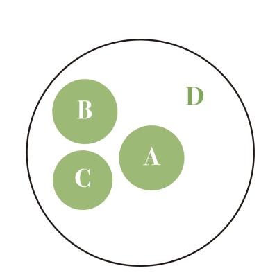 紅葉や実つきも楽しめる【和モダン鉢植え】3例。秋〜冬のお世話ポイントも紹介（サムネイル画像10）