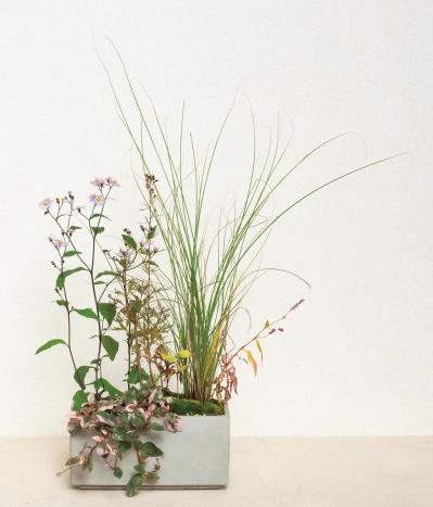 草丈のある植物で秋風を感じる【和モダン鉢植え】コケをセンスよく使うコツも必見！（サムネイル画像6）