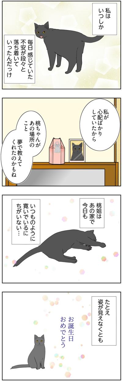 【マンガ・老猫日誌＃127】虹の橋の袂の家で、桃姐が安らかでありますように〜思い出の老猫日誌・桃姐と小論（サムネイル画像2）