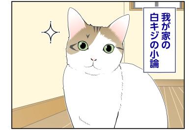 【マンガ・老猫日誌＃128】猫には塩対応なのに、なぜかモテモテの小論〜思い出の老猫日誌・桃姐と小論