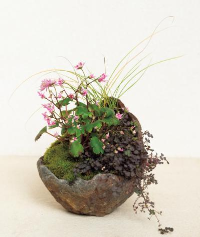 小さな容器の中に自然の景色が広がる！ 小花が愛らしい【秋の和モダン鉢植え】（サムネイル画像3）
