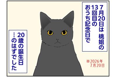 【マンガ・老猫日誌＃124】桃姐の20歳の誕生日のはずだったけれど…〜思い出の老猫日誌・桃姐と小論