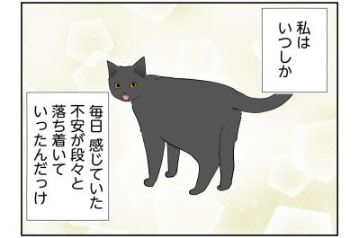 【マンガ・老猫日誌＃127】虹の橋の袂の家で、桃姐が安らかでありますように〜思い出の老猫日誌・桃姐と小論