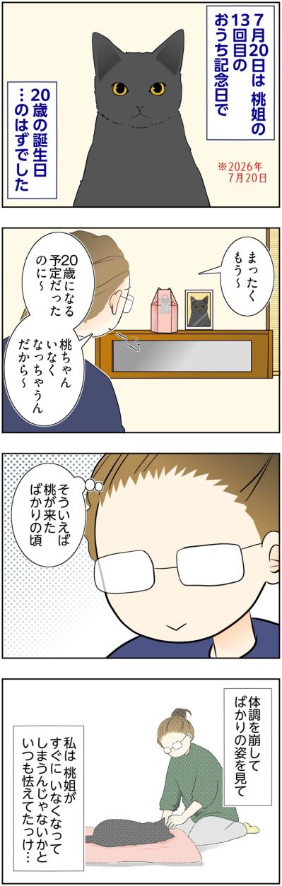 【マンガ・老猫日誌＃124】桃姐の20歳の誕生日のはずだったけれど…〜思い出の老猫日誌・桃姐と小論（サムネイル画像2）