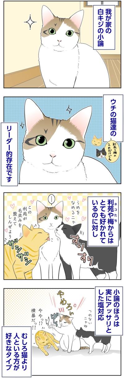 【マンガ・老猫日誌＃128】猫には塩対応なのに、なぜかモテモテの小論〜思い出の老猫日誌・桃姐と小論（サムネイル画像2）
