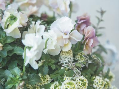 秋の寄せ植えは「フリル咲きビオラ」で上品に！ Chels Green亀井信輔さんが教えるきれいな仕上げるポイントとは（サムネイル画像4）