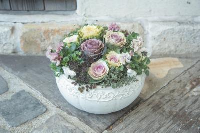 秋の寄せ植えは「フリル咲きビオラ」で上品に！ Chels Green亀井信輔さんが教えるきれいな仕上げるポイントとは