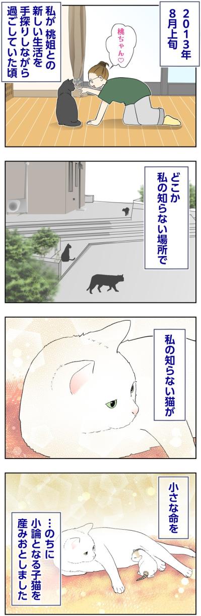 【マンガ・老猫日誌＃130】2013年の夏、まだ見ぬ小論の小さな産声〜思い出の老猫日誌・桃姐と小論（サムネイル画像2）