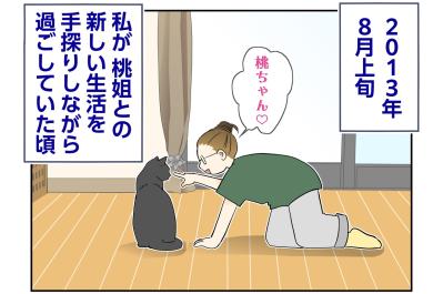 【マンガ・老猫日誌＃130】2013年の夏、まだ見ぬ小論の小さな産声〜思い出の老猫日誌・桃姐と小論（サムネイル画像）