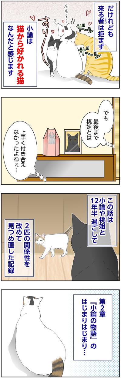 【マンガ・老猫日誌＃129】猫に好かれる小論が、桃姐とはすれ違った理由〜思い出の老猫日誌・桃姐と小論（サムネイル画像2）