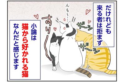 【マンガ・老猫日誌＃129】猫に好かれる小論が、桃姐とはすれ違った理由〜思い出の老猫日誌・桃姐と小論