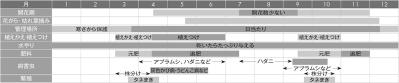 【ガーデニングQ＆A】ガーベラになかなかつぼみがつきません。水や肥料の与え方のポイントは？（サムネイル画像5）