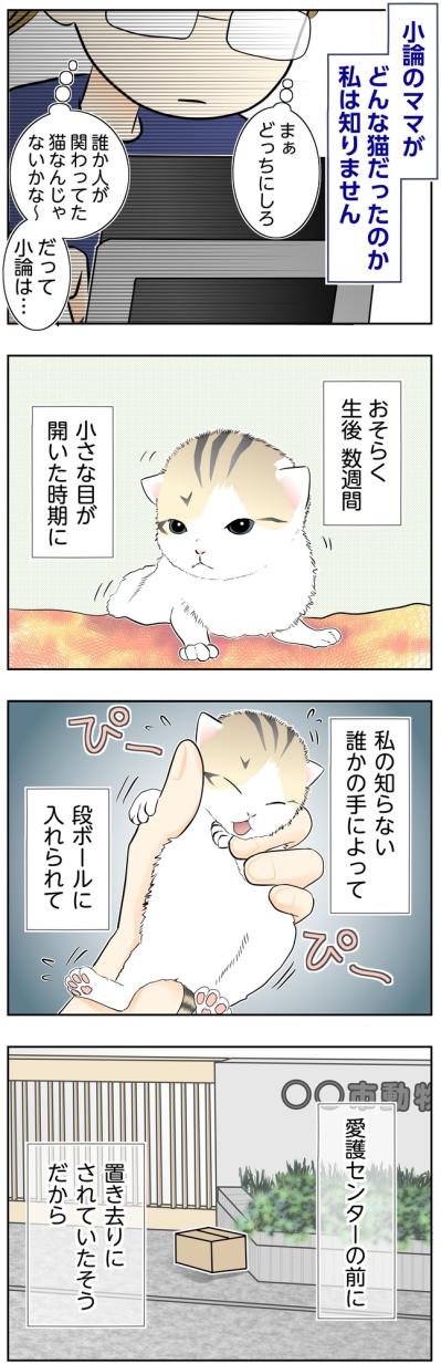 【マンガ・老猫日誌＃131】愛護センターの前に置かれた、小さな命〜思い出の老猫日誌・桃姐と小論（サムネイル画像2）