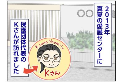 【マンガ・老猫日誌＃132】子猫の入った箱がぐっしょり！ Kさんの焦り〜思い出の老猫日誌・桃姐と小論