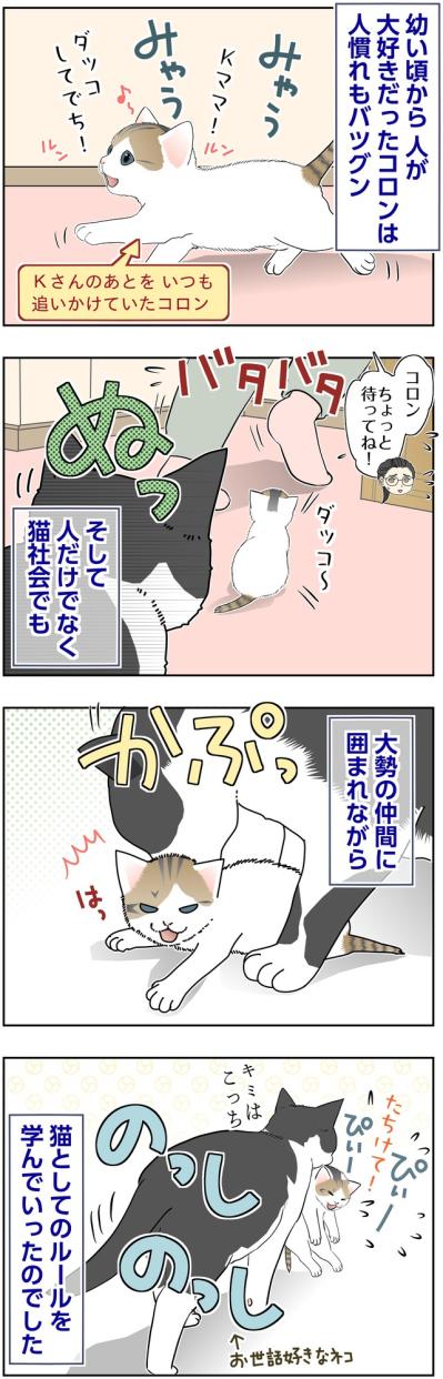 【マンガ・老猫日誌＃139】人は大好き、猫社会のルールはまだまだ勉強中〜思い出の老猫日誌・桃姐と小論（サムネイル画像2）