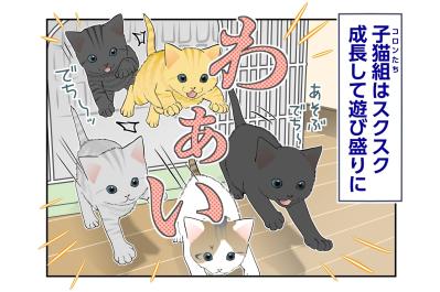 【マンガ・老猫日誌＃138】「今は遊ぶ時間！」コロンの抱っこ作戦は失敗？〜思い出の老猫日誌・桃姐と小論