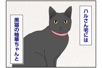 【マンガ・老猫日誌＃143】新しい家の先輩猫は、まさに「飴と鞭」〜思い出の老猫日誌・桃姐と小論