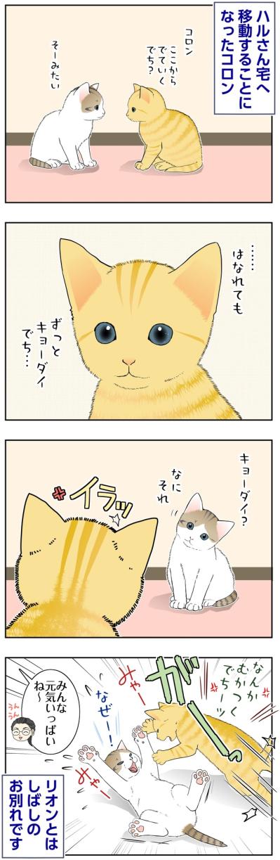 【マンガ・老猫日誌＃141】コロンとリオン、しばしのお別れもにぎやかに〜思い出の老猫日誌・桃姐と小論（サムネイル画像2）