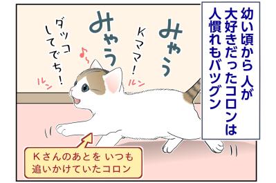 【マンガ・老猫日誌＃139】人は大好き、猫社会のルールはまだまだ勉強中〜思い出の老猫日誌・桃姐と小論