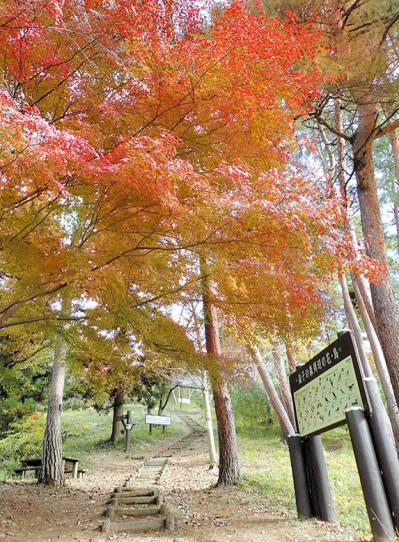 益子で叶える大人の秋旅：ろくろで益子焼づくり、紅葉の里山散策、滝見露天風呂の名湯へ（サムネイル画像7）