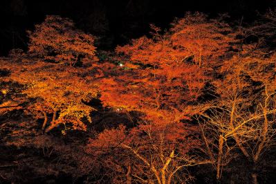 大人の秋旅は福井・越前へ。越前和紙の手仕事体験と、越前ガニ、温泉、紅葉を満喫！（サムネイル画像11）