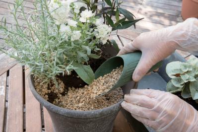 白・黒・シルバーで上品に決まる【秋のモノトーン寄せ植え】高低差と質感で立体的に（サムネイル画像15）