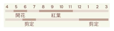 小さな庭でも映える！ おすすめの雑木5選｜アオダモ、ナツハゼ、コナラ、ツリバナ、ジューンベリー（サムネイル画像6）