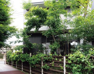 暗渠の小川跡を「渓流の庭」に再現した雑木の庭実例。果樹、野菜の収穫もできる！（サムネイル画像10）