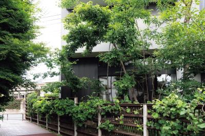 暗渠の小川跡を「渓流の庭」に再現した雑木の庭実例。果樹、野菜の収穫もできる！