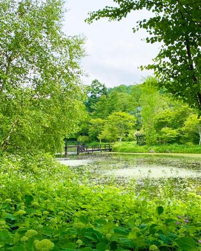 秋バラの深い花色と香りを味わう、草花との調和が美しい関東近郊ガーデン3選（サムネイル画像4）