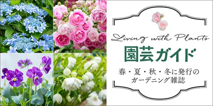 園芸ガイド記事