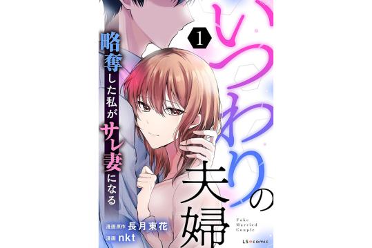 いつわりの夫婦 略奪した私がサレ妻になる