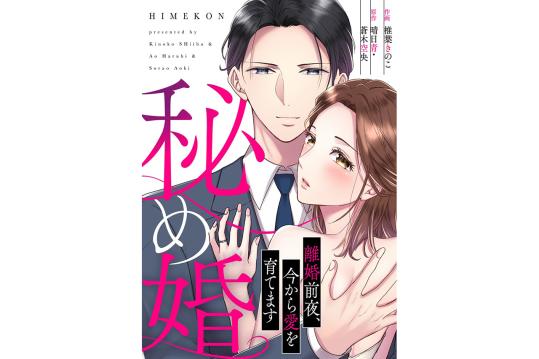 秘め婚　離婚前夜、今から愛を育てます