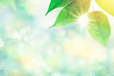 ベスリクリニック